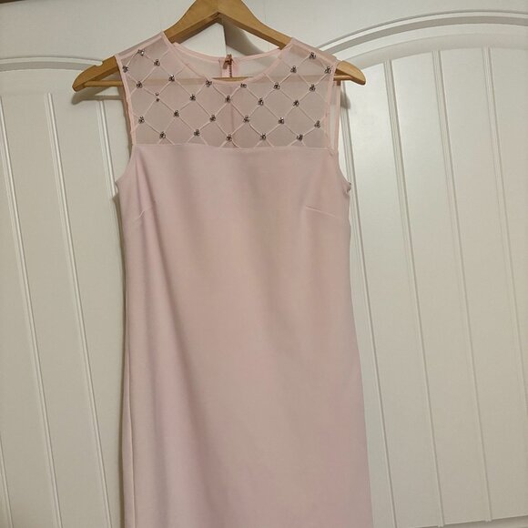 Ted Baker London Baby Pink Embellished Shift Dress Size 1 Mesh Panel Lined Zip - Picture 1 of 3